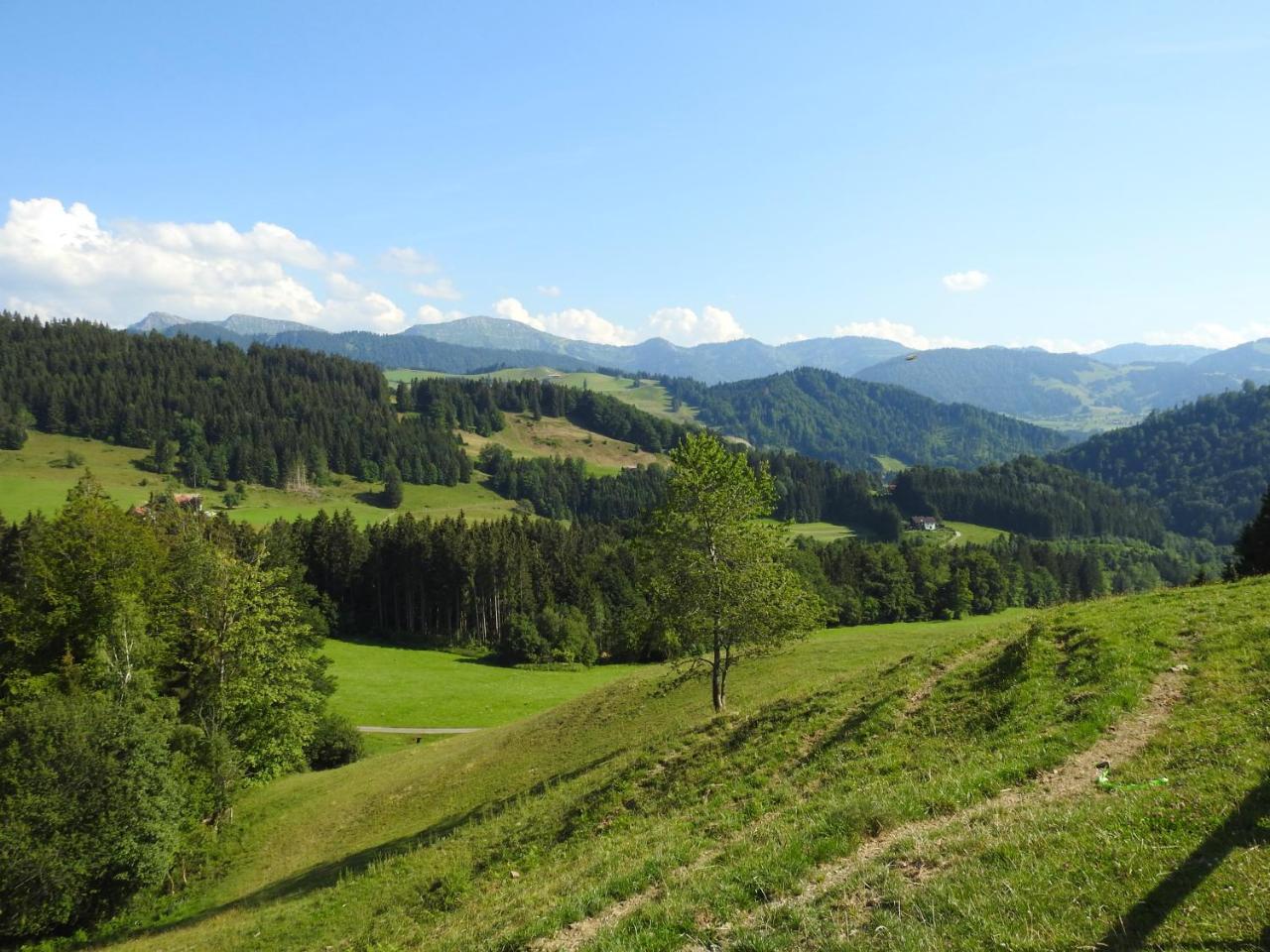 Ferienwohnungen Am Schlossberg Oberstaufen Εξωτερικό φωτογραφία